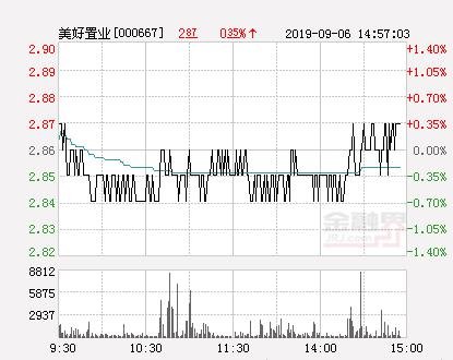 探索美好置業(yè)股吧，揭秘代碼000667背后的故事，揭秘美好置業(yè)股吧，探尋代碼000667背后的故事