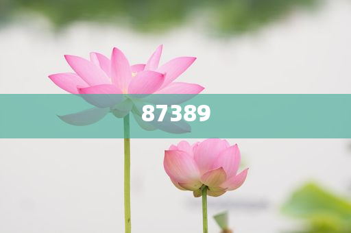 一肖是否包括特肖？深度解析生肖文化中的奧秘，深度解析生肖文化，一肖是否包含特肖？