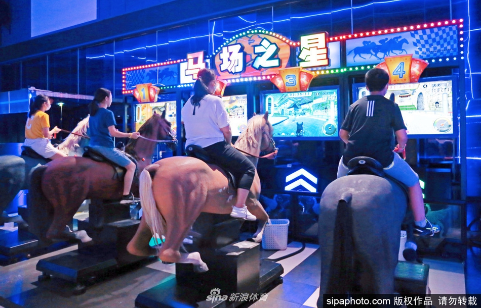 王中王精選四肖選一肖，揭秘背后的秘密與策略，揭秘王中王精選四肖選一肖背后的秘密策略與選擇技巧