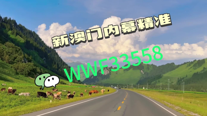 王中王一肖一馬中特一，探尋背后的秘密與獨(dú)特之處，探尋王中王一肖一馬中特一背后的獨(dú)特秘密