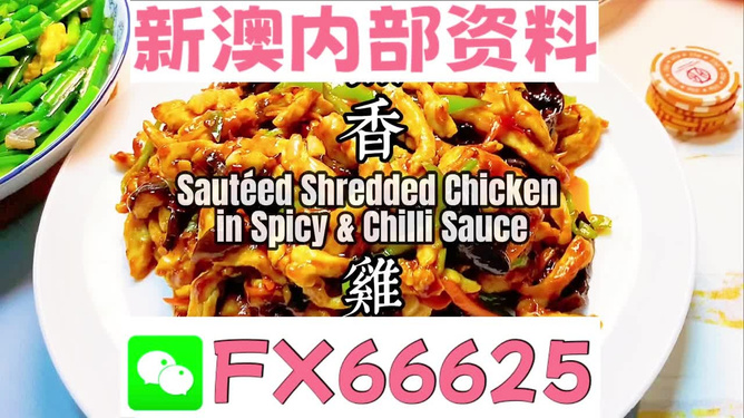 新奧長期免費資料大全——探索無盡的知識寶庫，新奧長期免費資料大全，無盡知識寶庫探索之旅