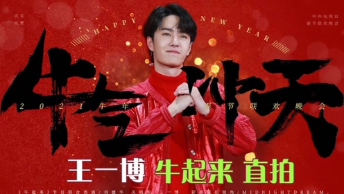 王中王一肖中特論壇鐵板，深度解析與SEO優(yōu)化策略，王中王一肖中特論壇鐵板深度解析與SEO優(yōu)化策略探討