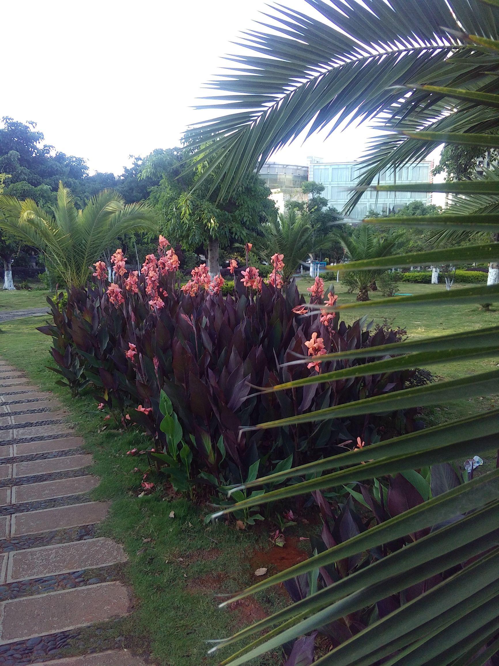 大理旅游景點有哪些，探索云南大理的美麗勝地，探索云南大理的美麗勝地——大理旅游景點大全