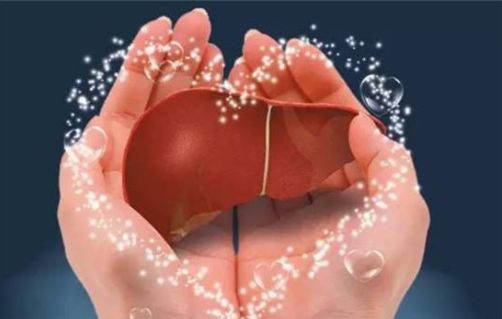 肝損傷恢復(fù)時(shí)間解析，多久能夠重返健康？，肝損傷恢復(fù)時(shí)間詳解，多久可重返健康生活？