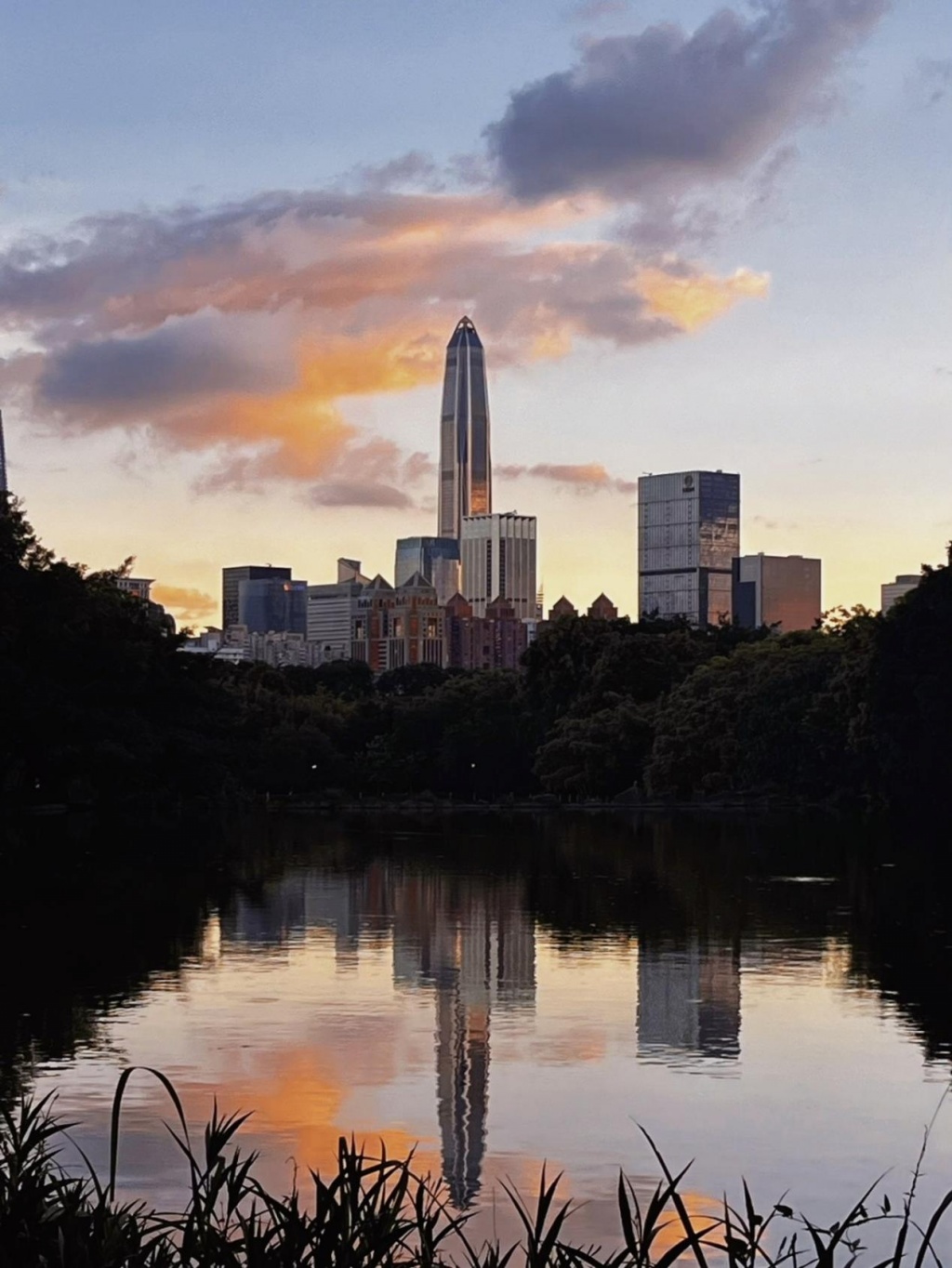 深圳好玩的地方和景點——探索這座城市的魅力，深圳魅力探索，城市景點與玩樂指南