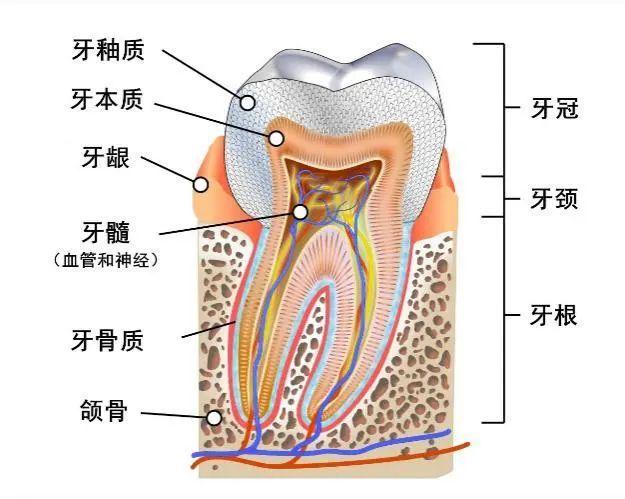 男人更年期一般多久，全面解析與關(guān)注，全面解析與關(guān)注，男人更年期的時(shí)長(zhǎng)及影響