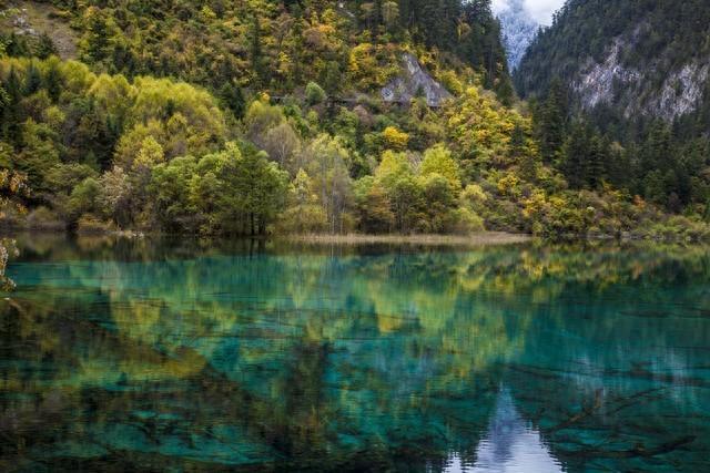 四川九寨溝景區(qū)簡(jiǎn)介——自然之美的瑰寶，四川九寨溝景區(qū)，自然之美的瑰寶簡(jiǎn)介