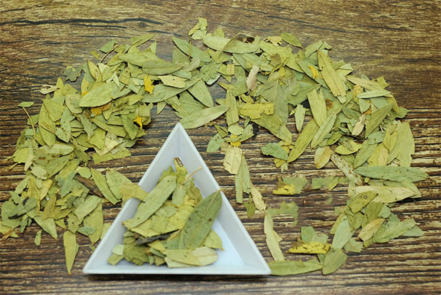 番瀉葉的功效與作用，番瀉葉的功效與作用簡介