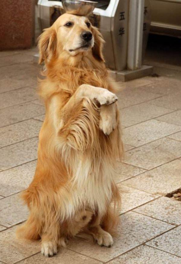 懷孕頭三個月，慎談喜事，關(guān)愛健康，懷孕頭三個月，謹(jǐn)慎談喜，重視健康關(guān)愛