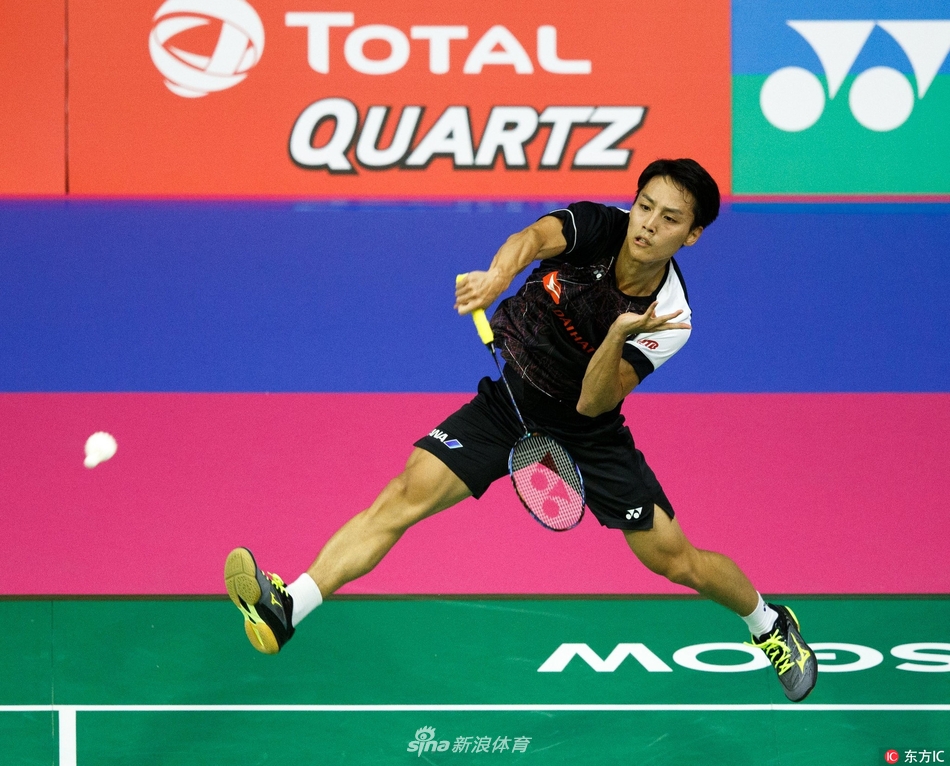 一肖平碼王中王，揭秘背后的秘密與策略，揭秘一肖平碼王中王的秘密與策略