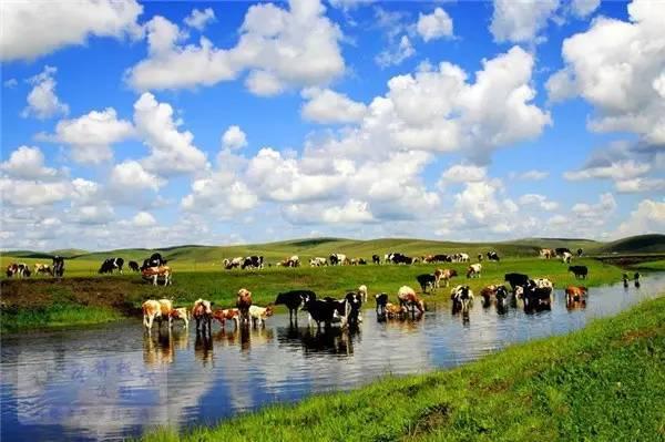 中國(guó)夏季旅游勝地前十名——夏日炎炎，赴一場(chǎng)清涼之旅，中國(guó)夏季旅游勝地TOP10，炎炎夏日，清涼之旅必選之地