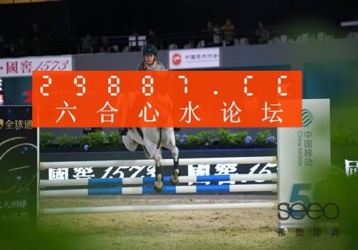 王中王資料一肖中特官婆，深度解析與SEO優(yōu)化策略，王中王資料一肖中特官婆深度解析與SEO優(yōu)化策略探討