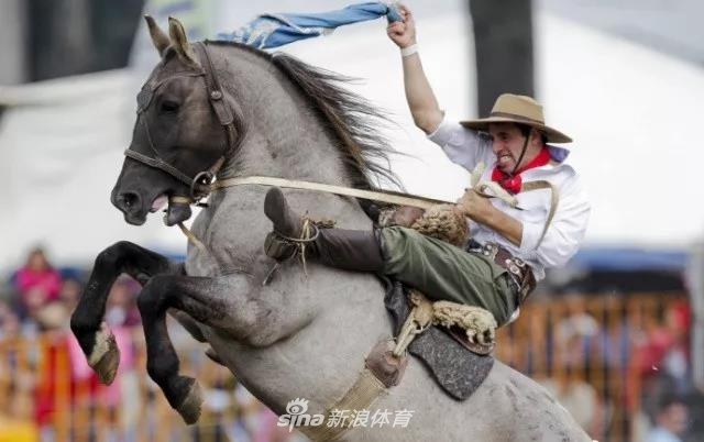 王中王四不像一肖中馬——探尋神秘生肖的魅力，探尋神秘生肖馬之魅力，王中王四不像一肖中馬揭秘