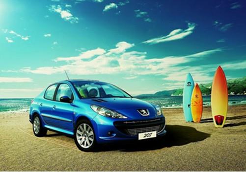 王中王307期指一生肖——深度解讀與SEO優(yōu)化，王中王307期生肖深度解讀與SEO優(yōu)化策略揭秘