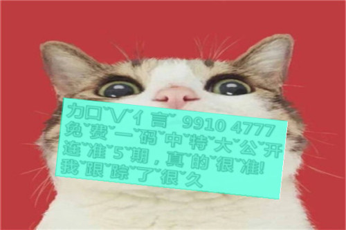 一肖啥意思，深度解析與SEO優(yōu)化文章，一肖含義深度解析與SEO優(yōu)化策略探討